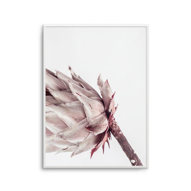 Abstract Protea I Art Print