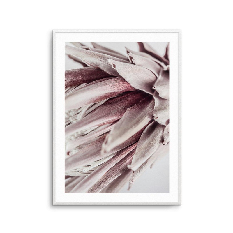 Abstract Protea II Art Print