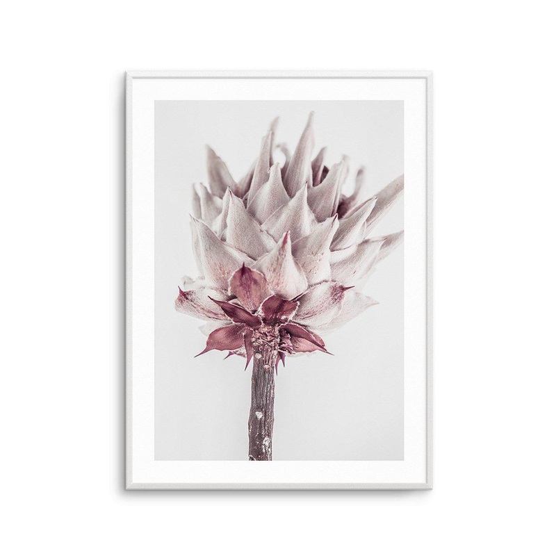 Abstract Protea III Art Print
