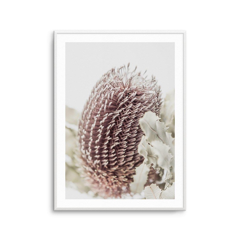 Banksia I Art Print