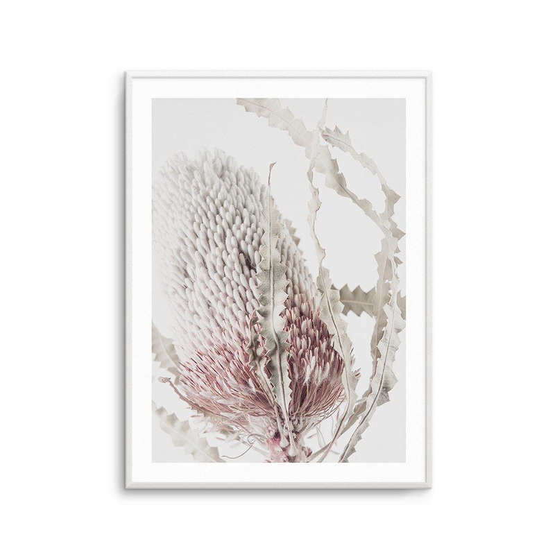 Banksia II Art Print