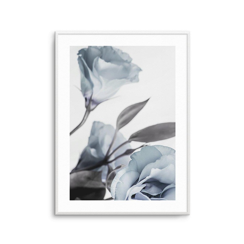 Blue Lisianthus I Art Print