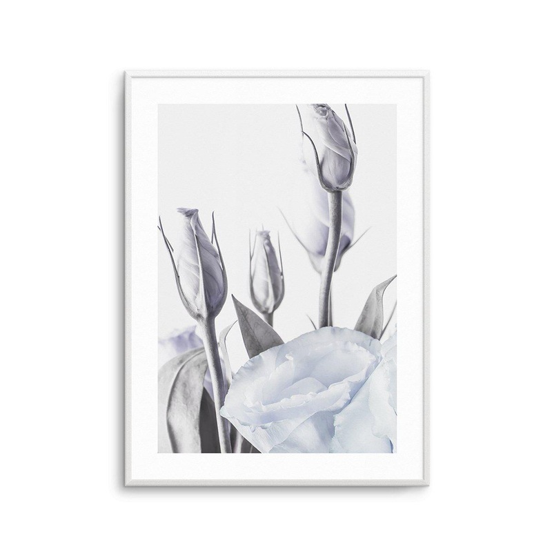 Blue Lisianthus II Art Print