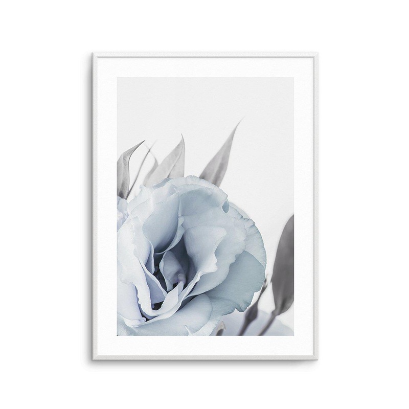 Blue Lisianthus III Art Print