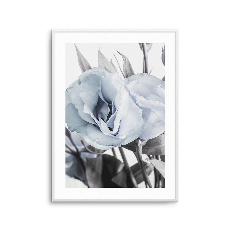 Blue Lisianthus IV Art Print