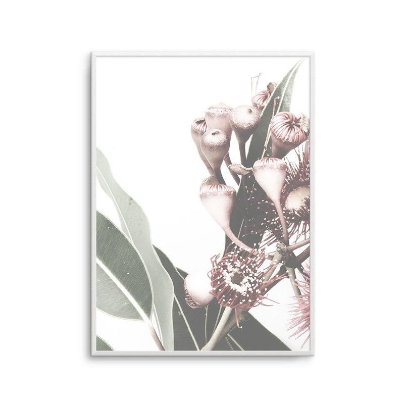 Flowering Gum I Art Print