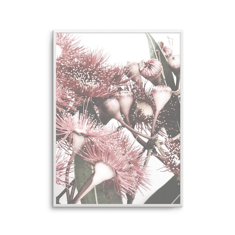 Flowering Gum II Art Print