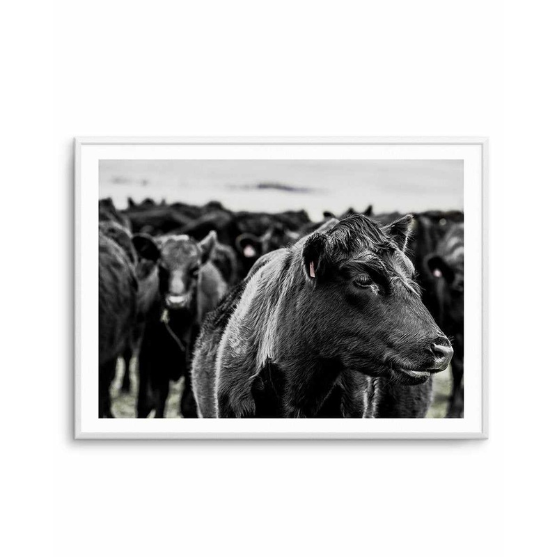 Herd | LS Art Print