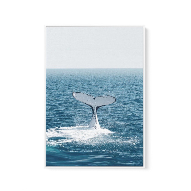 Hervey Bay Whale | Framed Canvas Art Print