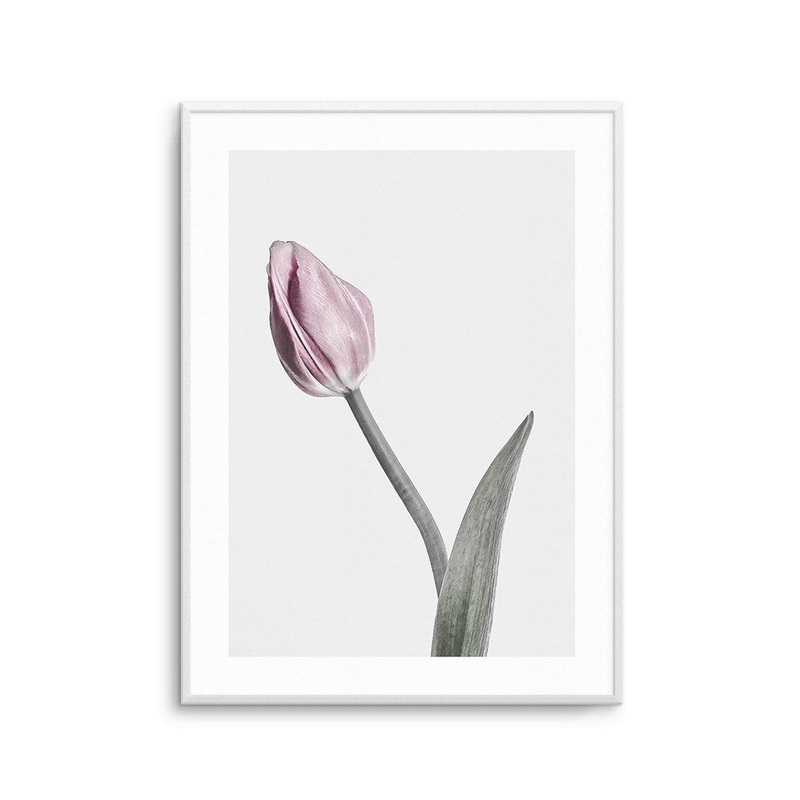 Pink Tulip Illustration I Art Print