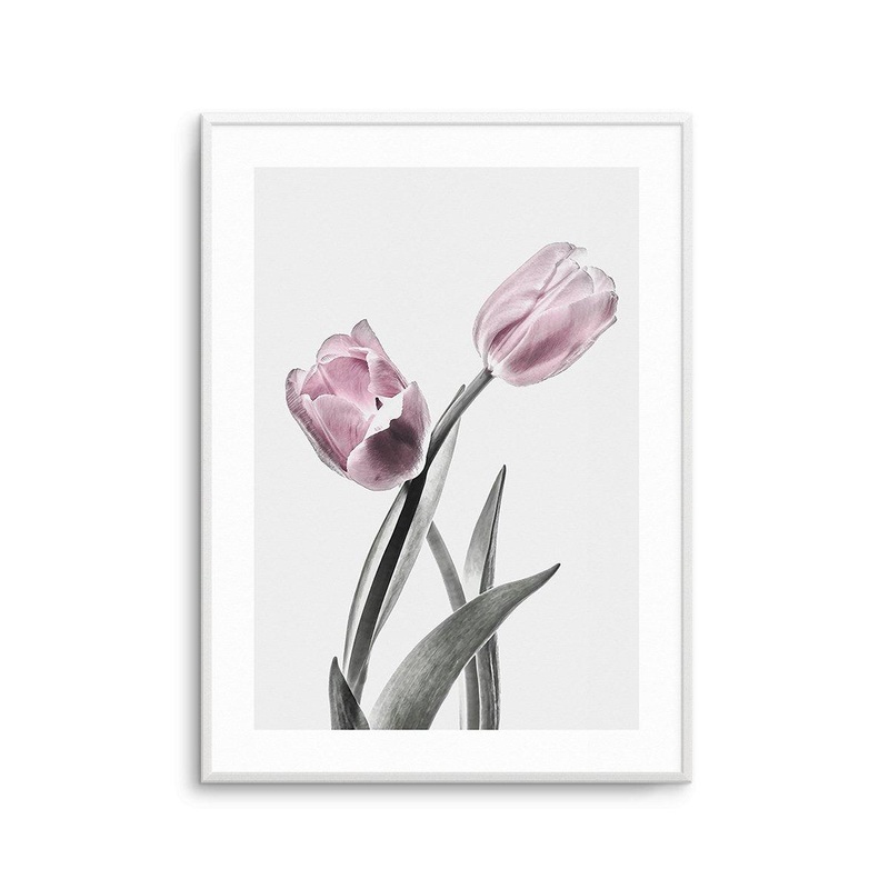 Pink Tulip Illustration II Art Print