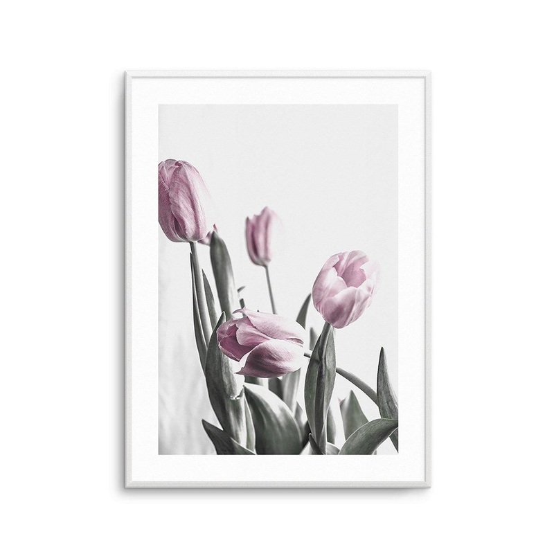 Pink Tulip Illustration III Art Print