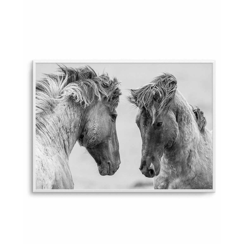 Wild Horses | LS Art Print