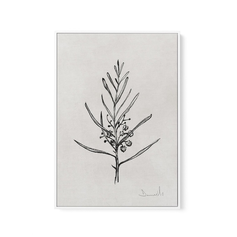 Blackwood Sapling by Dan Hobday | Framed Canvas Art Print