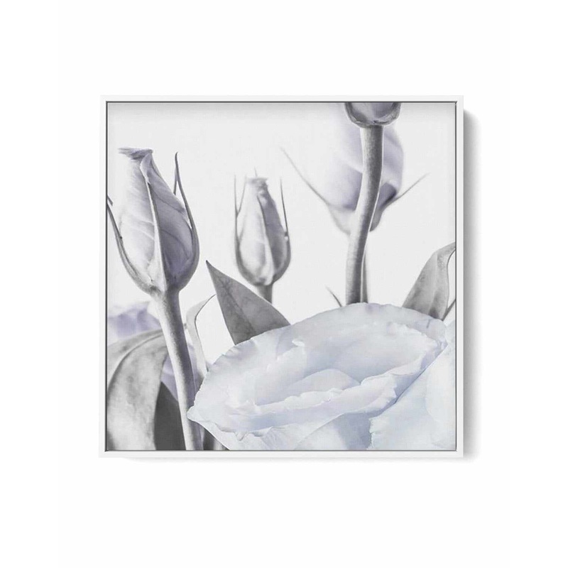 Blue Lisianthus II SQ | Framed Canvas Art Print