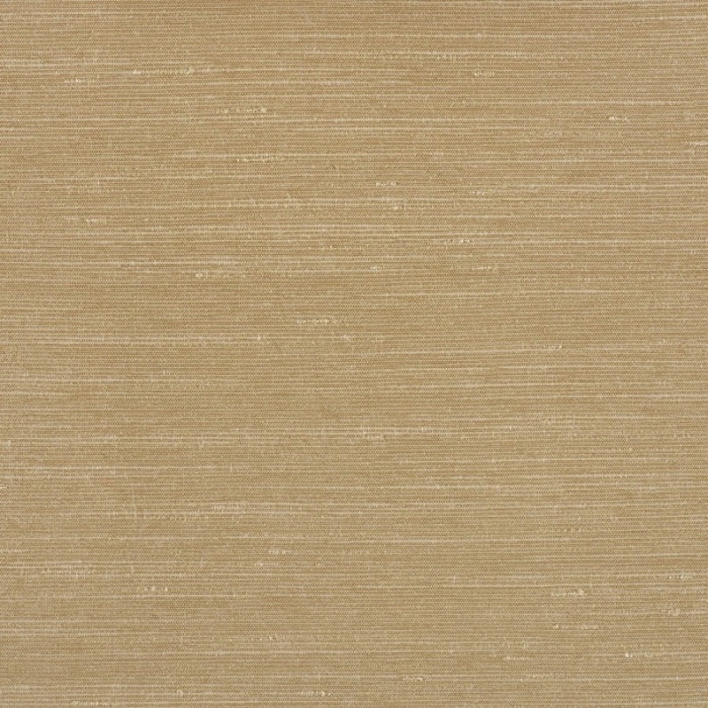 Warwick Sari Champagne